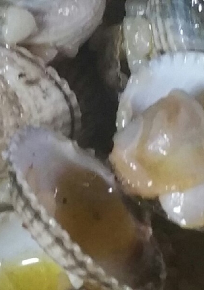 Una foto de Berberechos en su jugo