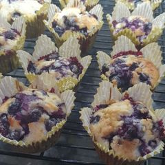 A picture of Blueberry muffins.