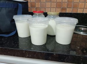 Foto de Iogurte Caseiro Fácil