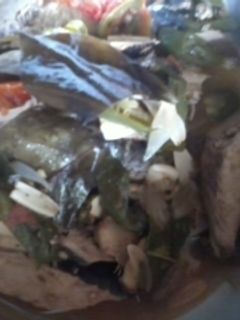 Foto resep TUMIS CUEK TONGKOL