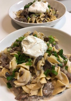 A picture of Hamburger Stroganoff.