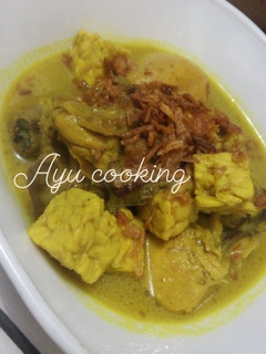 Foto resep Opor ayam tempe