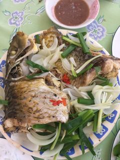 Hình của món Cá chép hấp cuốn bánh tráng.