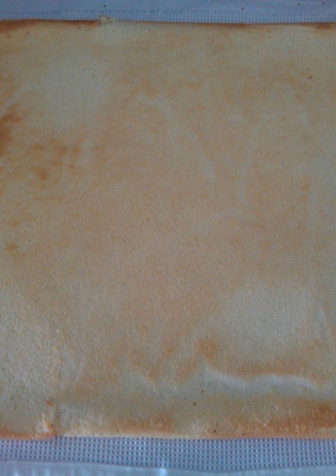 Una foto de Bizcocho genovés (Plancha de brazo de gitano)