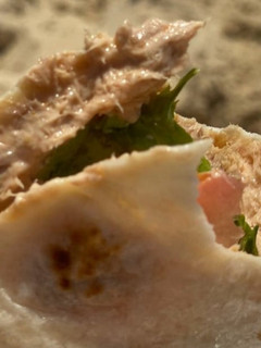 Foto de Wrap de Atum