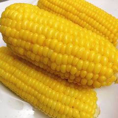 A picture of Boiled Sweet corn.