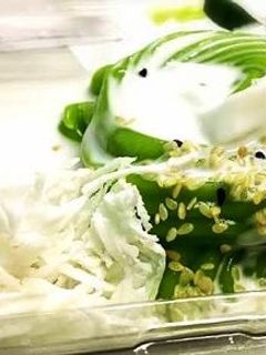 รูปของ ขนมเปียกปูนใบเตยกะทิสด