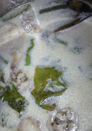 Foto resep Sayur Lodeh Emank Simple