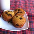 Cupcakes tape singkong