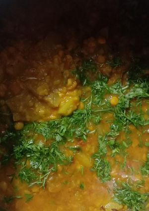 A picture of Dal ghiya ki sabji.