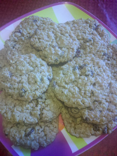 A picture of Major's chewy oatmeal cookies.