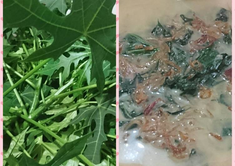  Resep  Sayur Daun pepaya  Jepang kuah  santan  oleh Ibad Cookpad