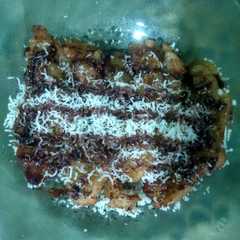 รูปของ Pisang Keju