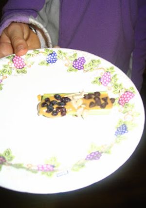 A picture of Gluten-Free Girl Scouts.