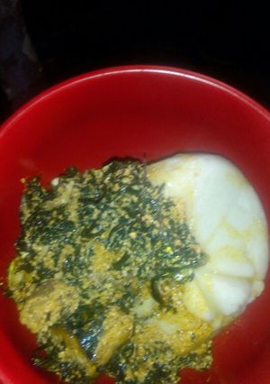 A picture of Egusi and bitter leaf soup.