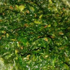 A picture of Garlic Chutney.