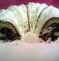 Easy Way Prepare Recipe Pistachio marble bundt cake that is So Delicious, Delicious}