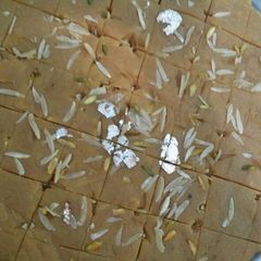 A picture of Chanay ki dal ka Halwa.