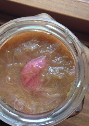 A picture of Rhubarb Compote.