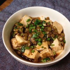A picture of Spicy Vegan Lentil Mapo Tofu.