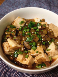 A picture of Spicy Vegan Lentil Mapo Tofu.