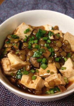 A picture of Spicy Vegan Lentil Mapo Tofu.