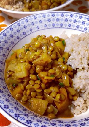A picture of Vegetarian Lentil Curry.
