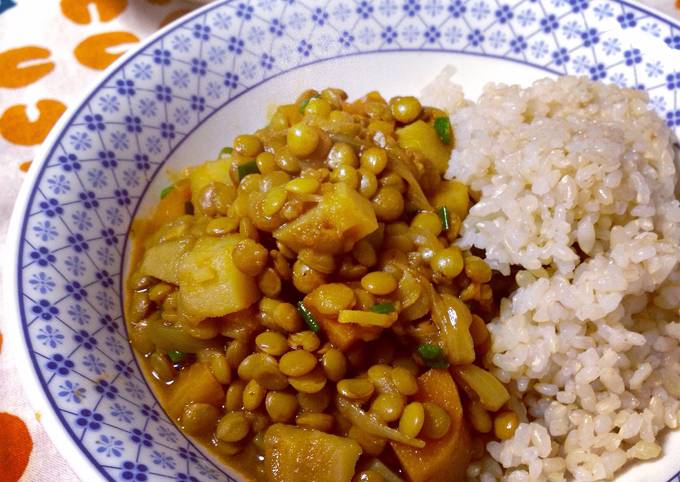 Vegetarian Lentil Curry