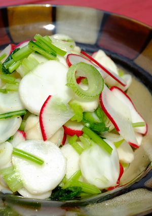 A picture of Salad Turnip and Radish Salad.