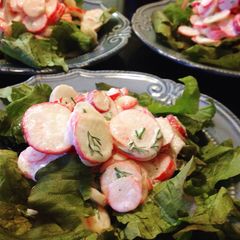 Creamy Radish Salad A picture of Creamy Radish Salad.