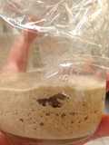 How to Make Rye Sourdough Starter