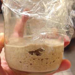 A picture of How to Make Rye Sourdough Starter.