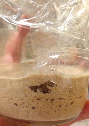 A picture of How to Make Rye Sourdough Starter.