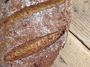 A picture of rye sourdough starter