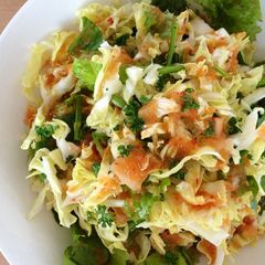 A picture of Cabbage "Slaw" with Spicy Onion Vinaigrette.