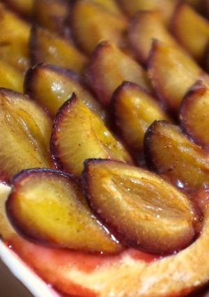 A picture of Pflaumenkuchen / Zwetschgendatschi: German Plum Cake.