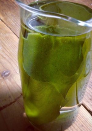 A picture of Japanese Kombu Dashi (Kelp Stock).