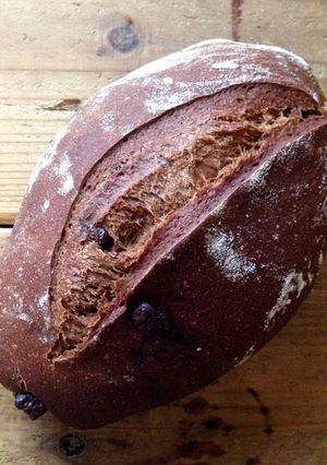 A picture of Chocolate Chunk Sourdough Bread .