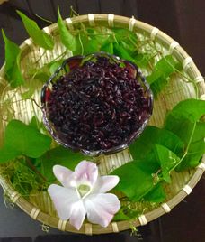 cơm rượu nếp cẩm