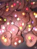 quarted chocoo cokies