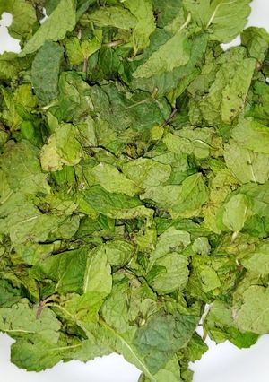 A picture of Dried Mint Leaves.
