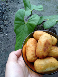 Foto resep Timus (Ubi Goreng)