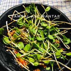 Sambel Ale Mantap রেসিপির প্রধান ছবি