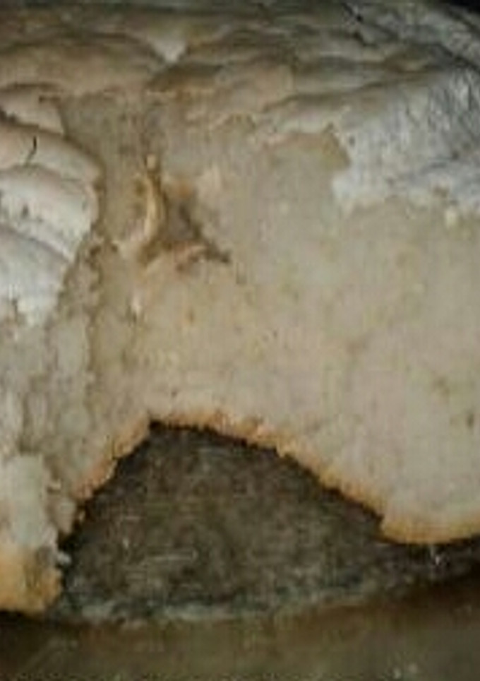 Una foto de Pan vegano y sin tacc