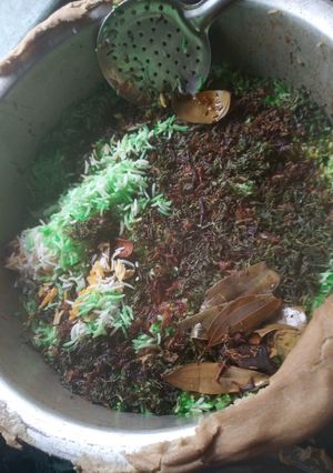 A picture of Chicken Dum Biryani.