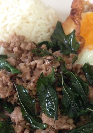 รูปของ ผัดกะเพราหมู (pad ka praow) Stir fry pork with holy basil