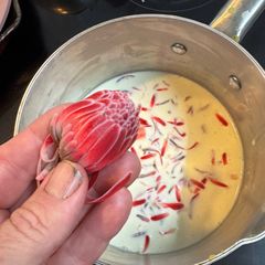 A picture of Torch Ginger Flower Ice Cream.