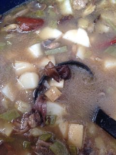 Una foto de Xolostle de hongos silvestres