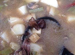 Una foto de Xolostle de hongos silvestres