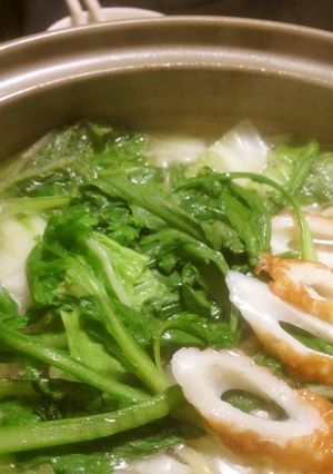 A picture of Golden Ratio Soup: Salt Chanko Nabe.